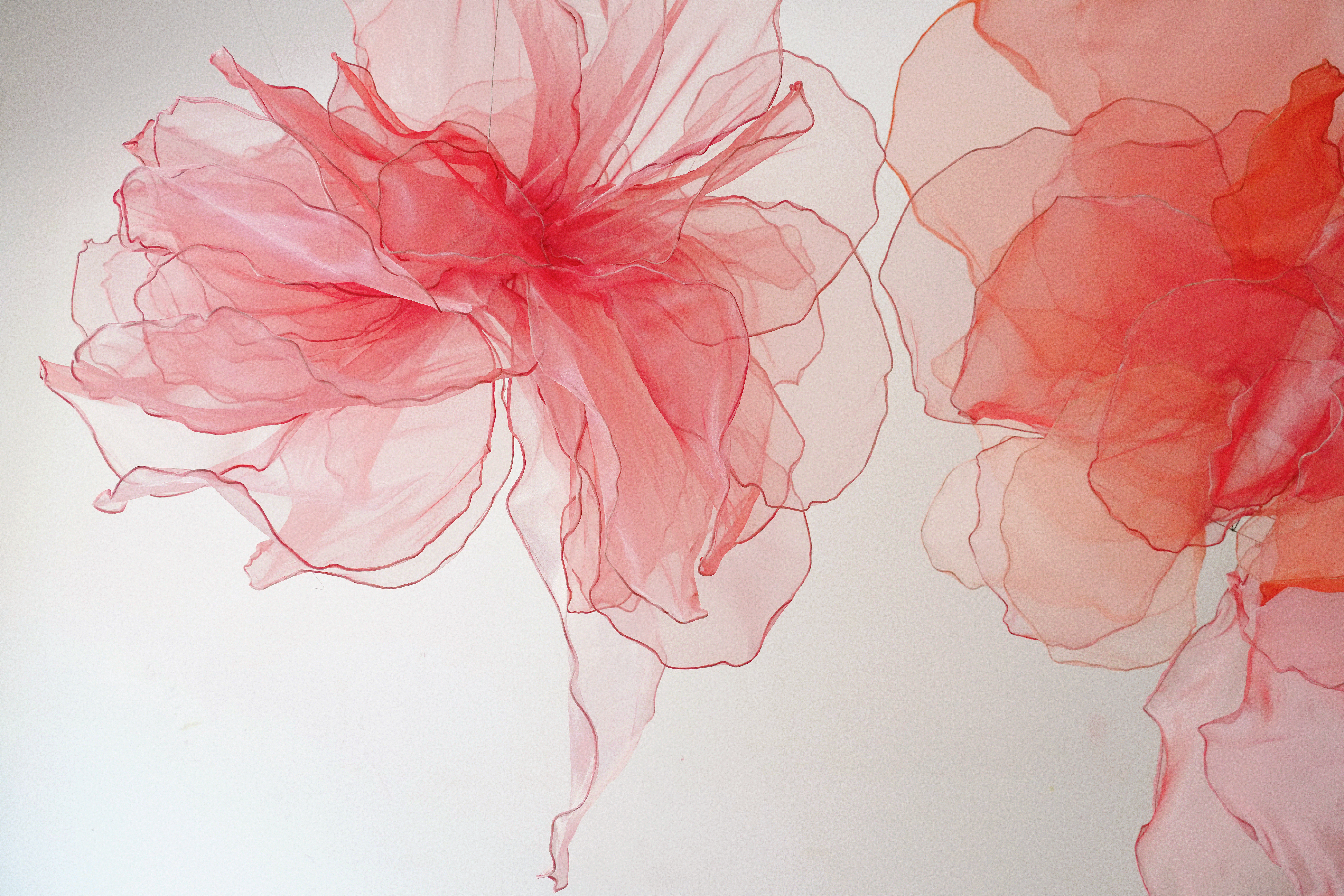 Artist In Residence Stay Journey